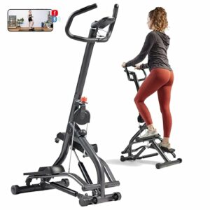 Stepper per scale con manubrio per allenamenti a basso impatto