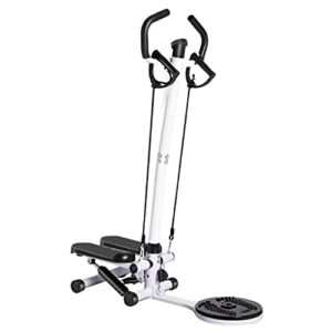 Mini-Stepper Swing Twist con Monitor LCD: Attrezzatura Fitness efficiente per Allenamento Silenzioso
