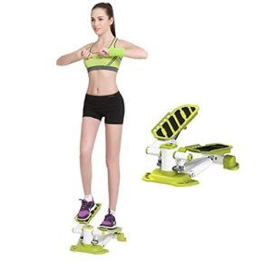 Stepper Swing 2 in 1 per Esercizi Fitness - Compatta Attrezzatura per Allenamento Domestico ed Esterno