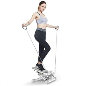 Mini-Stepper Swing Portatile per Esercizi in Casa