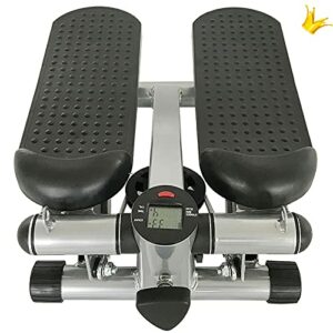 Anth Mini Stepper con Twister, Power Ropes e Display LCD