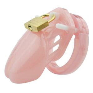 Kit di Attrezzi per Allenamento Muscolare e Fitness, Protettore Rosa, Coppia di Chiavi e Accessori
